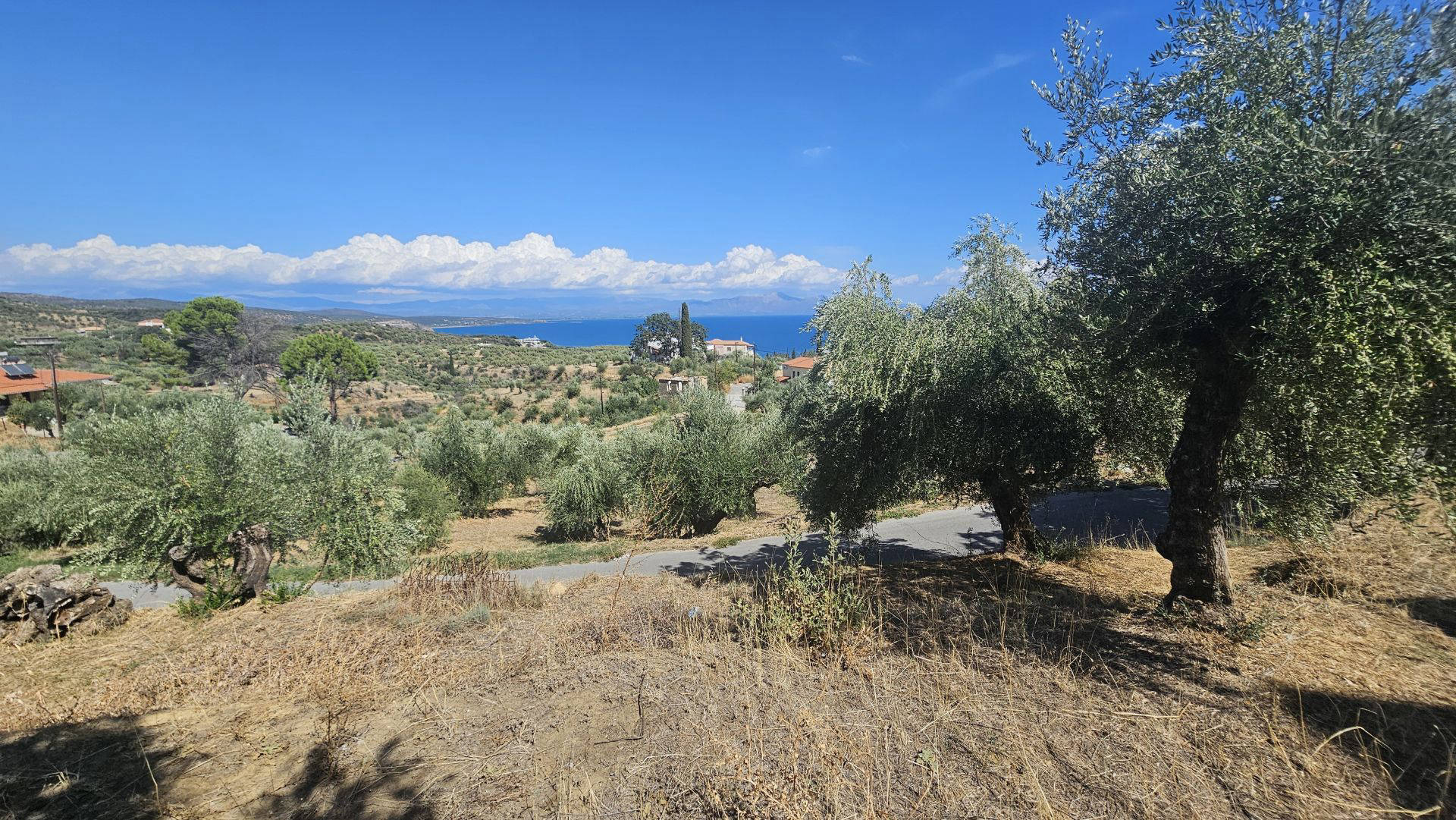 Sea view land plot near Gythio - GrGY765