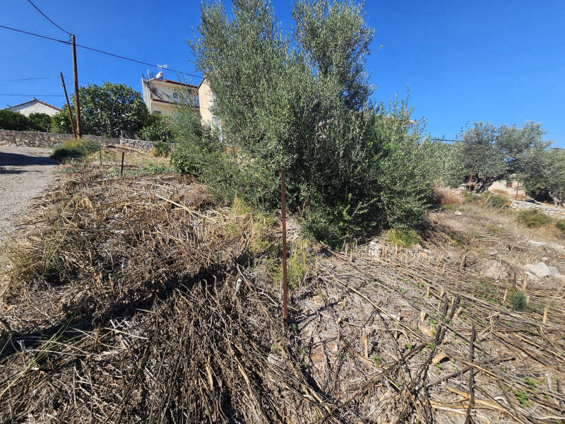 Sea view building plot in Mavrovouni near Gythio town  - GrMAV668