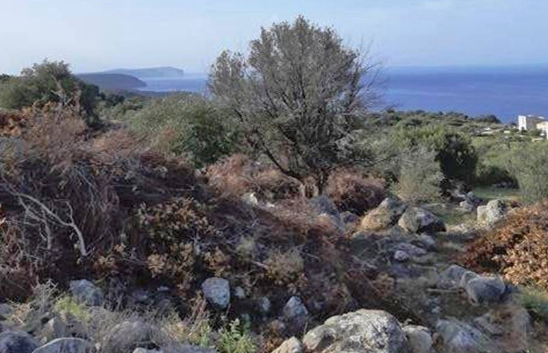  land plot with panoramic views in the Laconian Mani - LaARP643