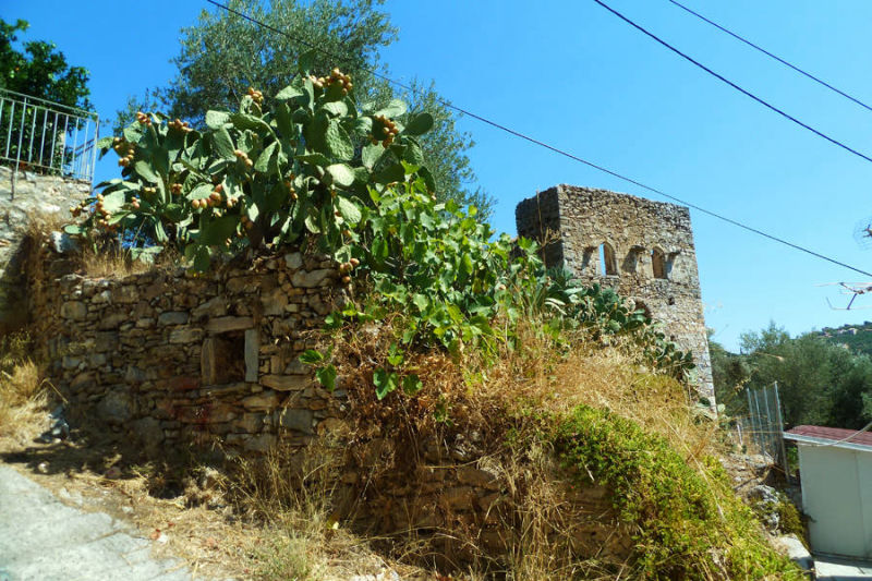 Stone house ruin in Mani SoKarv607