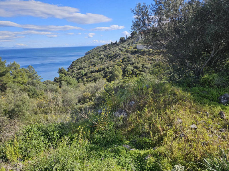 Sea view land plot on the outscirts of Gythio - GrMAV755