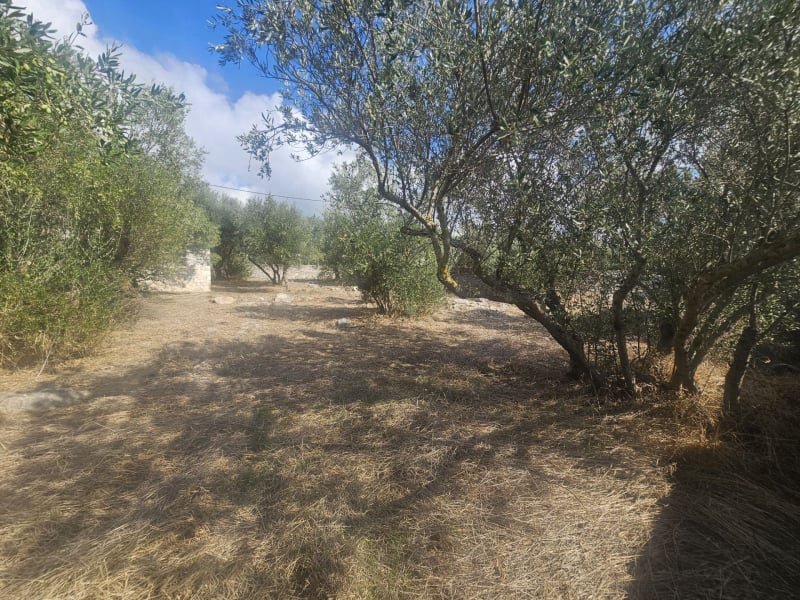 Traditional Stone House in Deep Mani, near Gerolimenas - HaKER551