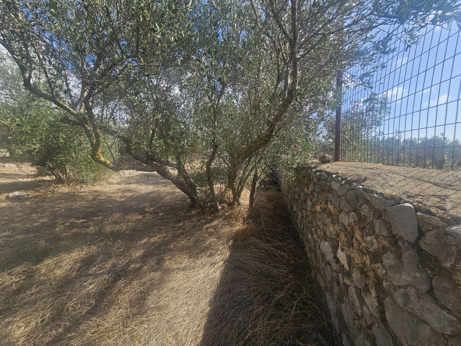 Traditional Stone House in Deep Mani, near Gerolimenas - HaKER551