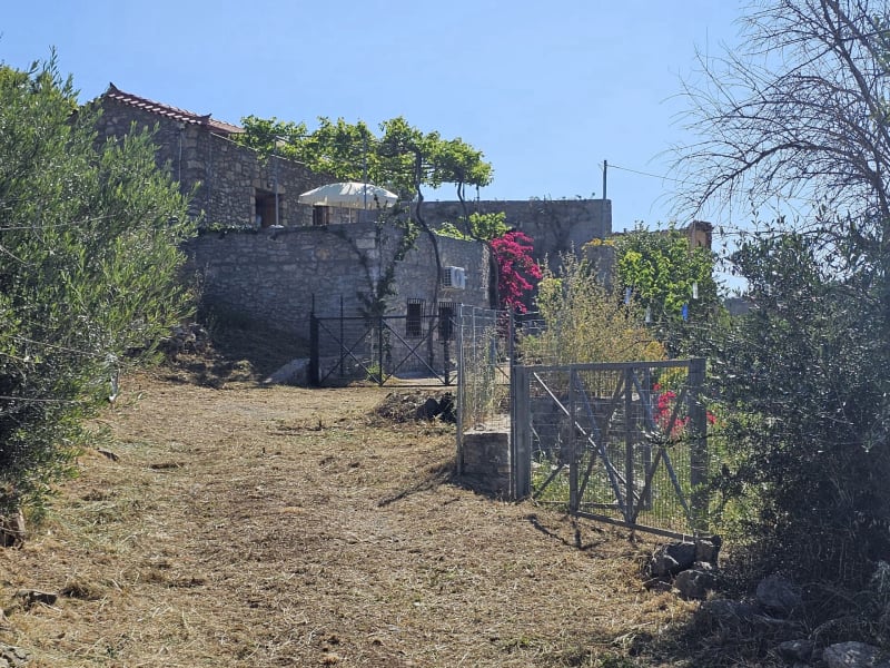 The access
