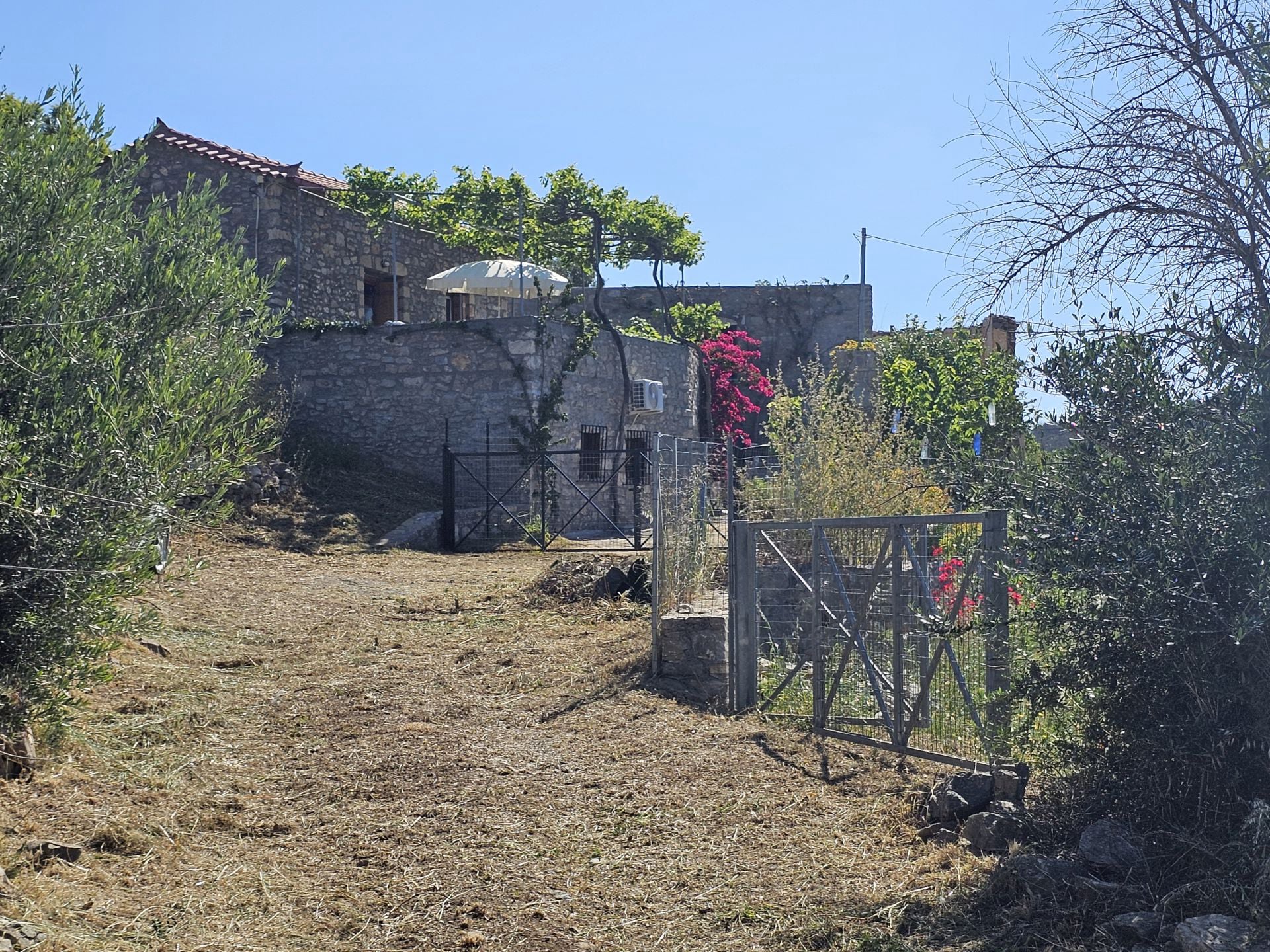 The access