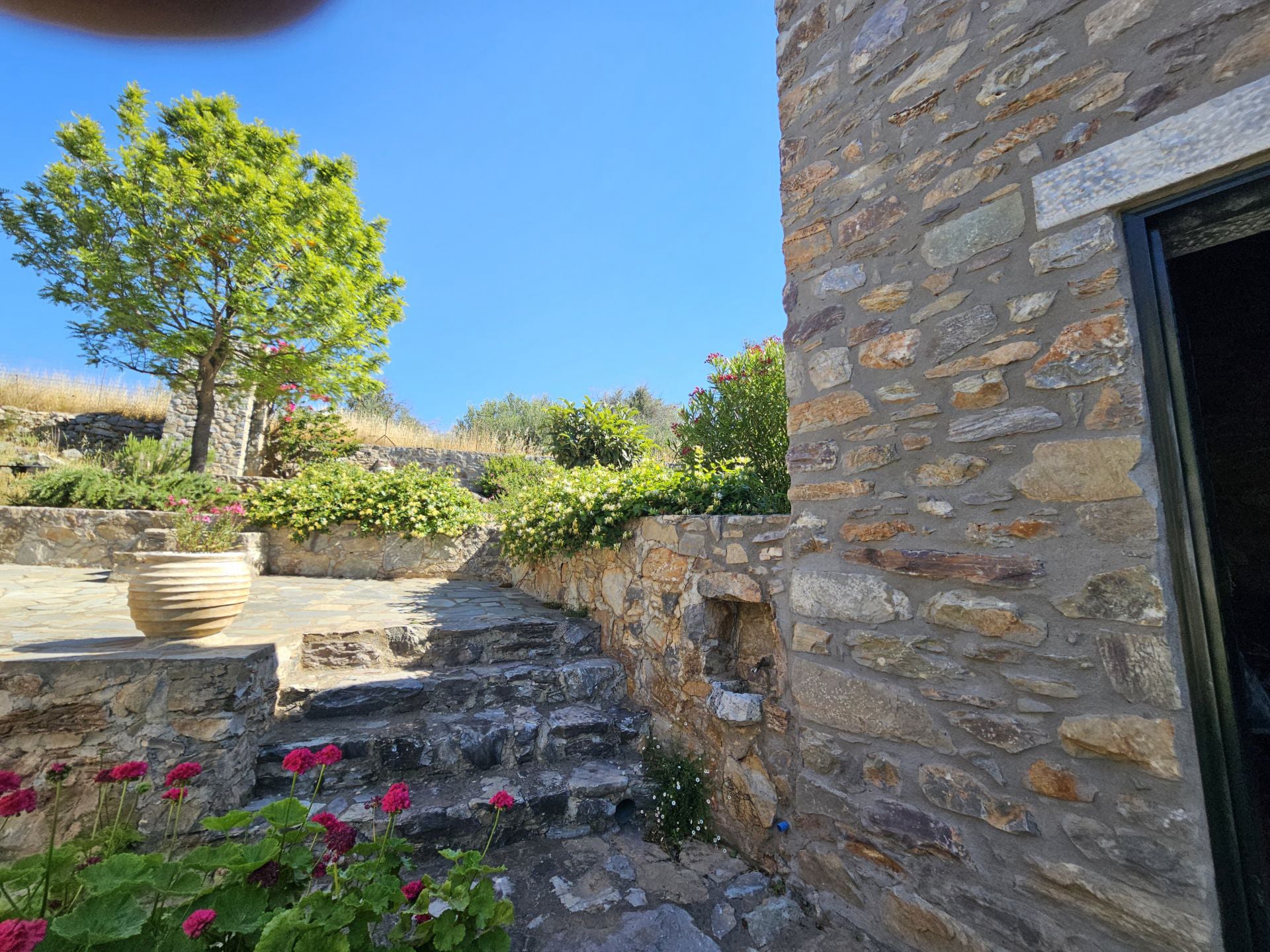 The semi-renovated house an the garden 