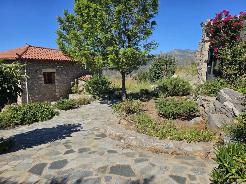 The garden behind of the houses