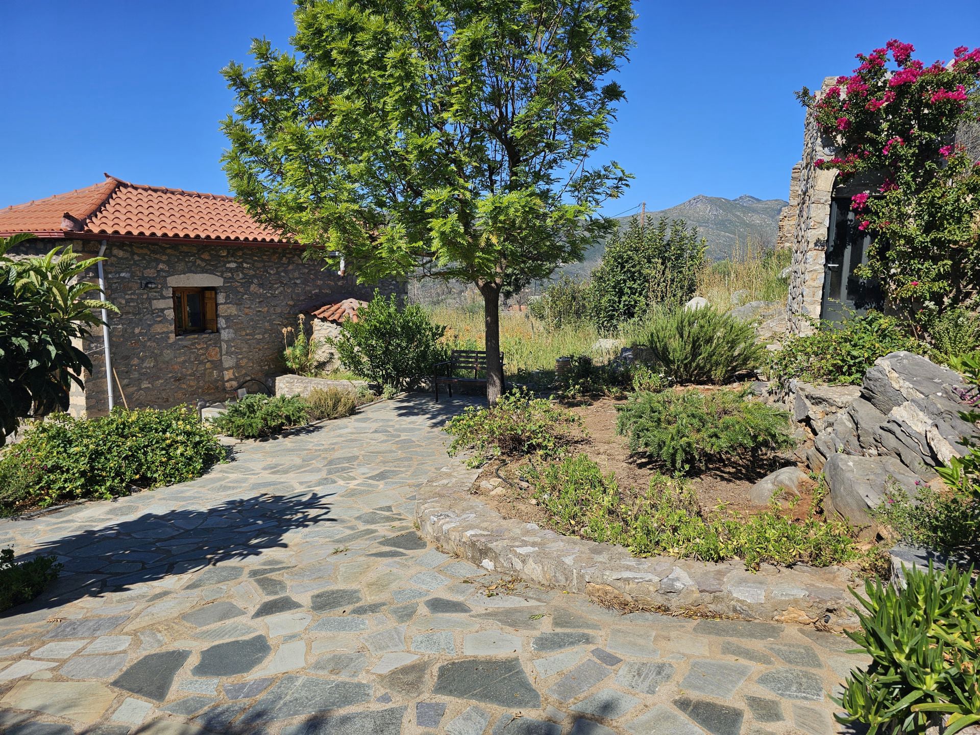 The garden behind of the houses