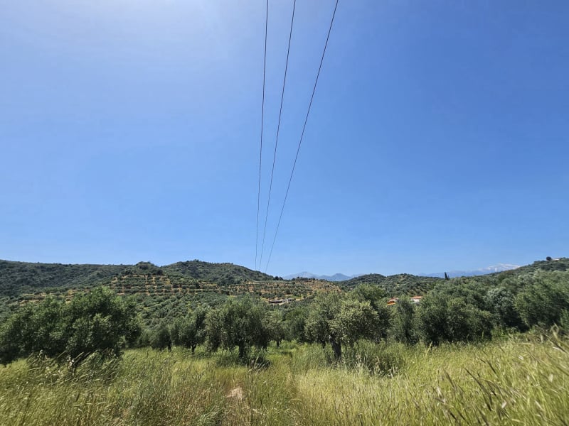 Agricultural land plot with olive trees near Gythio - LaGyPR791