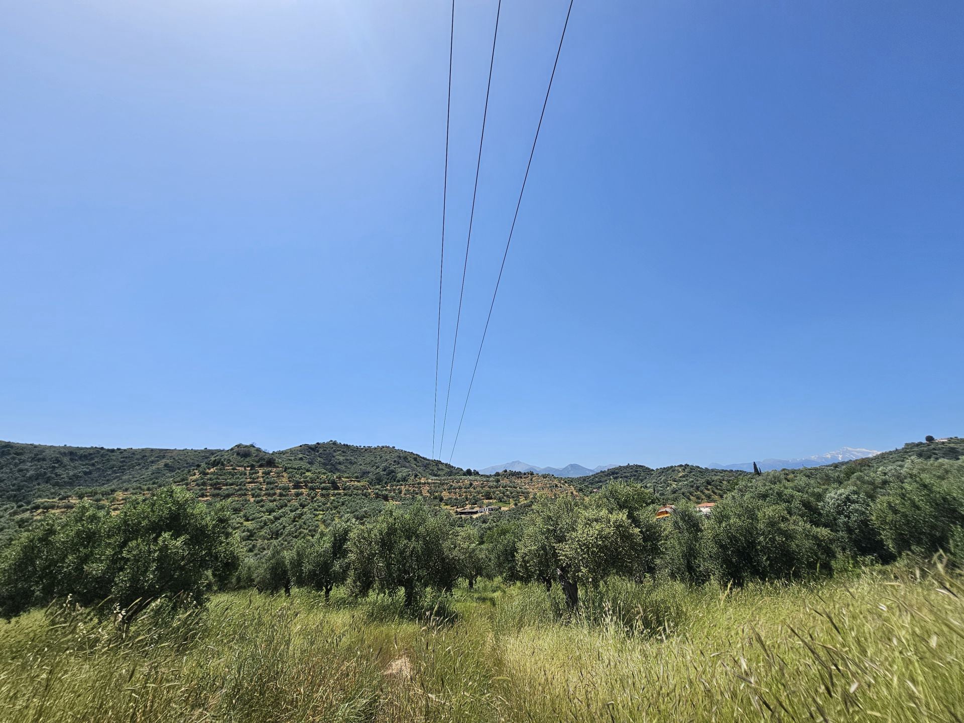 Agricultural land plot with olive trees near Gythio - LaGyPR791