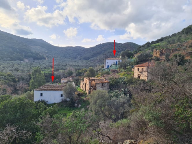 Hillside country property with two houses - HaTER717